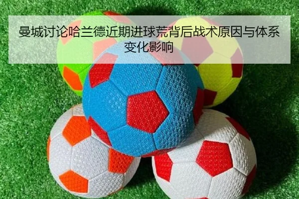 img_1780181360019_1155_1_587.jpg